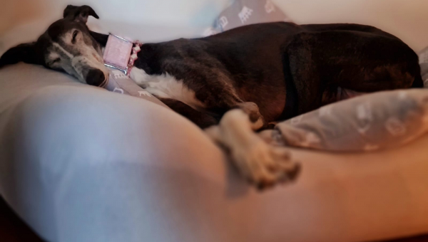 Zwei ältere Damen...